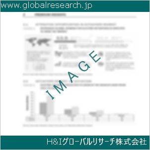 グローバルリサーチ調査資料のイメージ